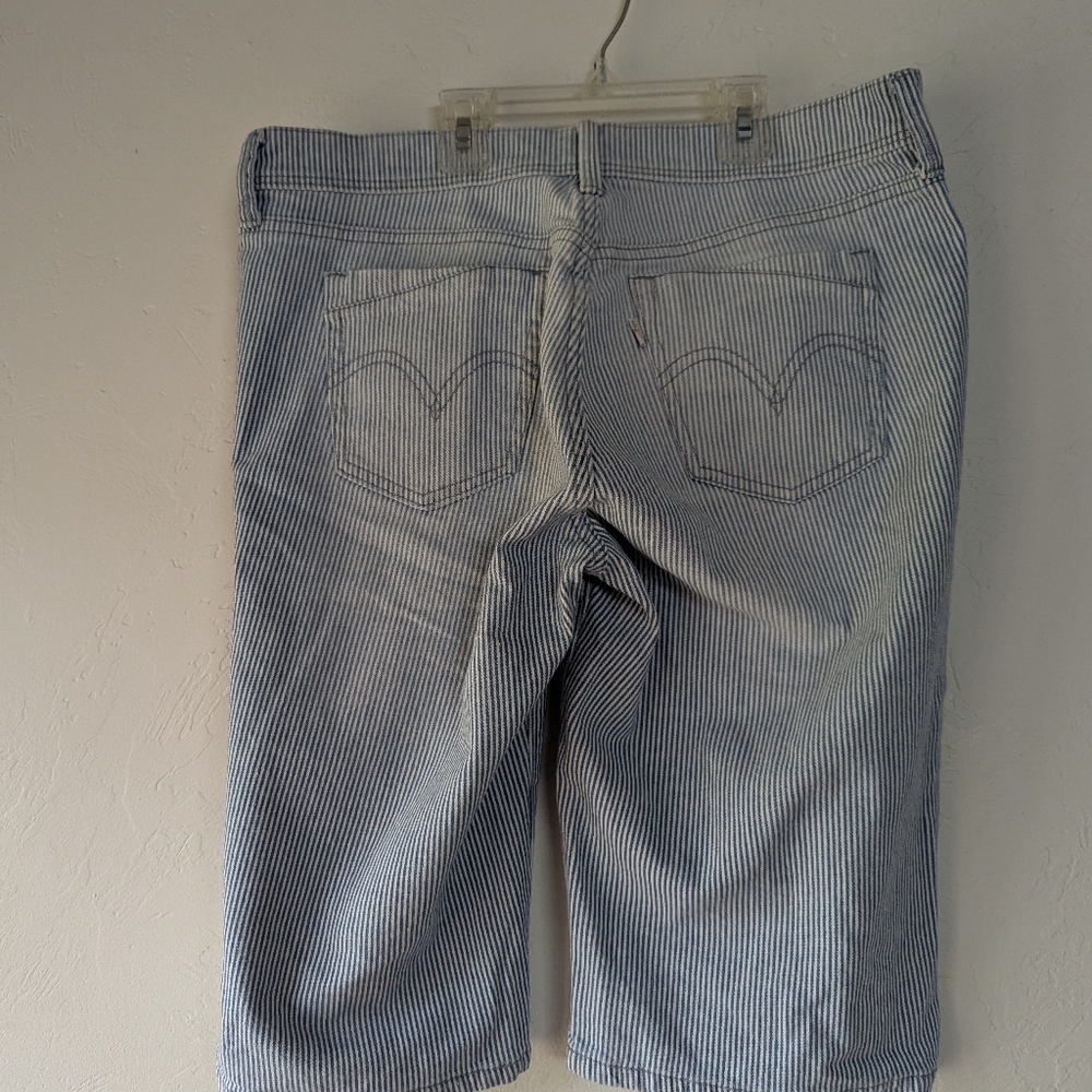 Blue and White Striped Jorts